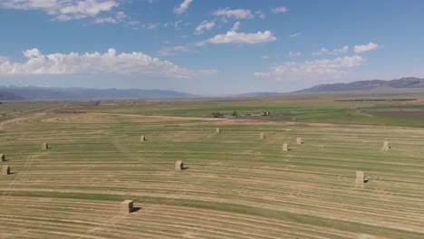 aerial footage of a hay field