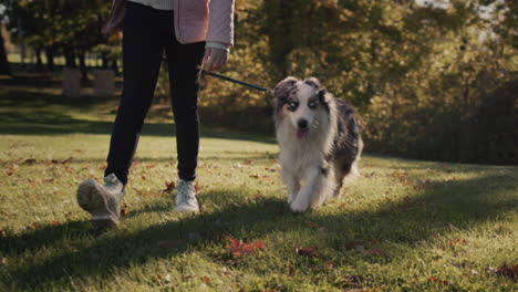 Un-Niño-Camina-Por-El-Parque-Con-Un-Perro,-Las-Piernas-Son-Visibles-En-El-Marco-Y-El-Perro-Camina-Junto-Al-Dueño