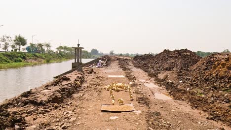 patos caminando por un camino de tierra por el agua