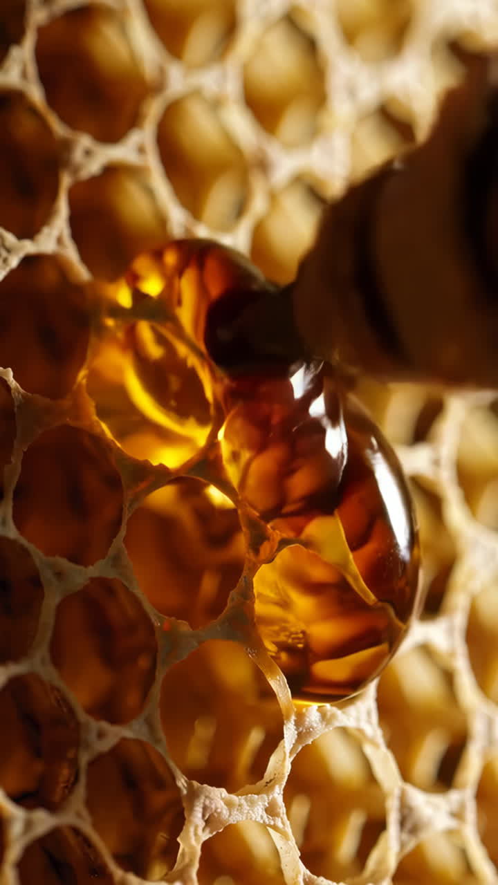 Honey dripping from honeycomb