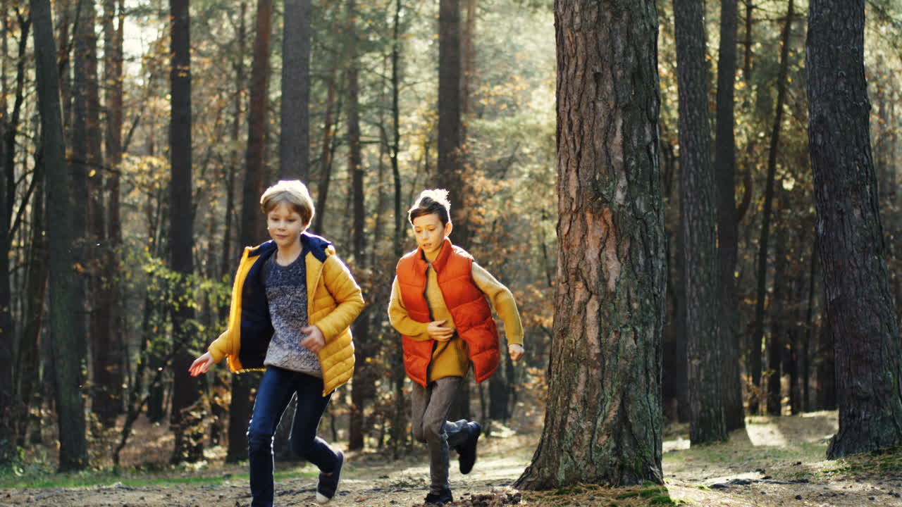 Caucasian boys running in the forest on a sunny day
