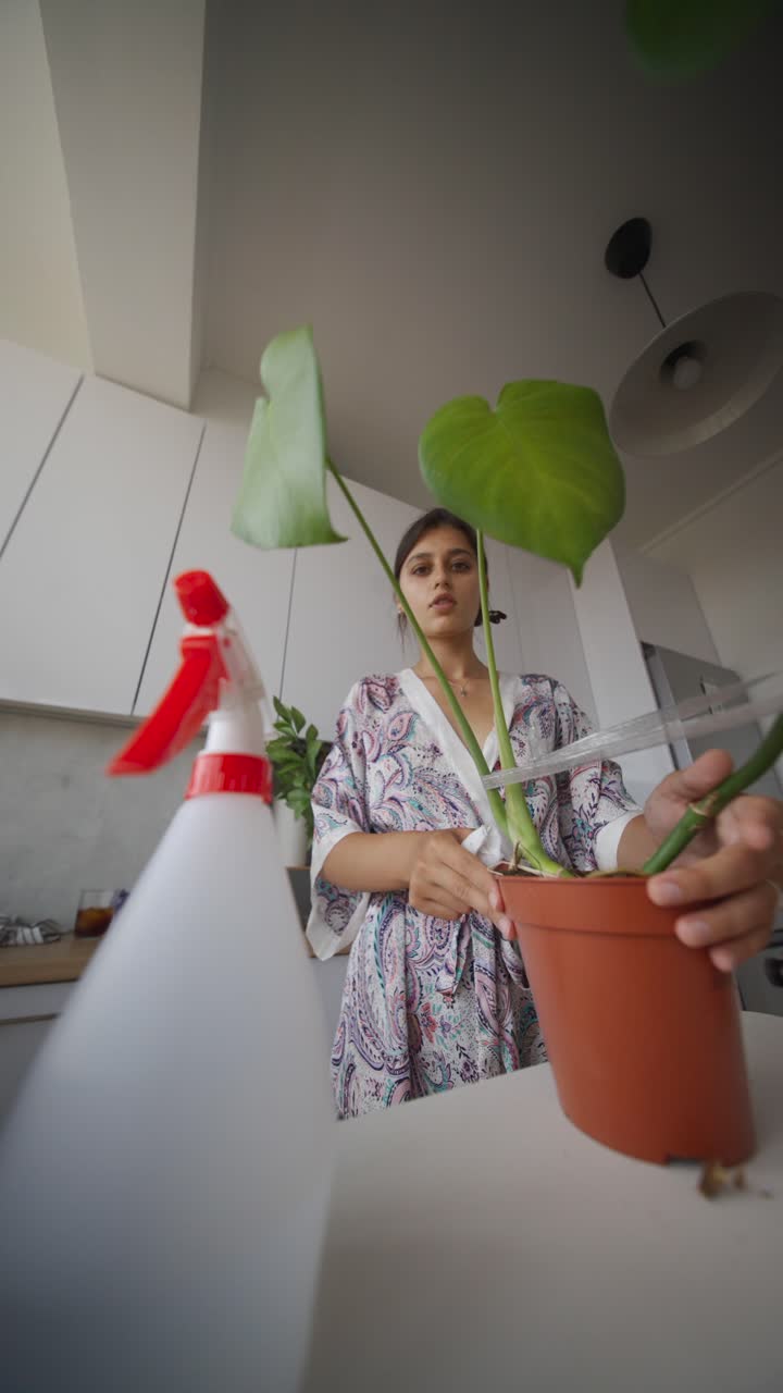 Woman Watering a Monstera Plant in a Kitchen