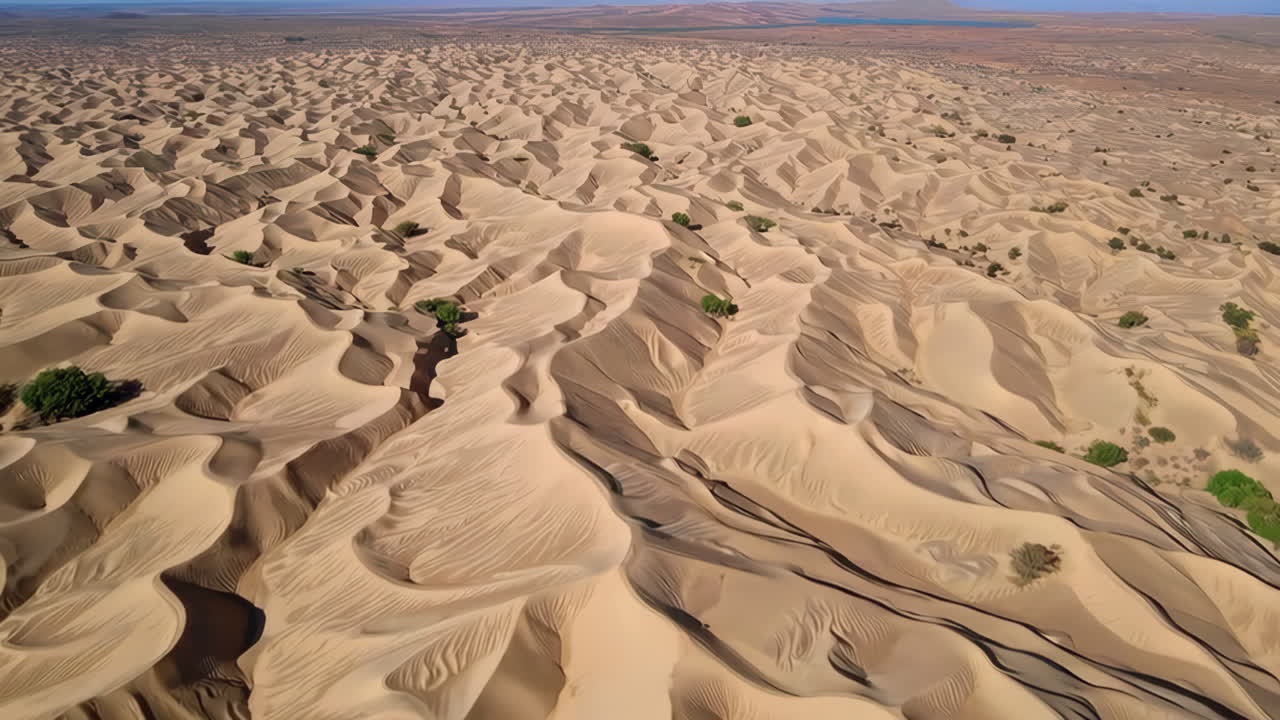 Aerial View of Expansive Sand Dunes in a Desert Landscape