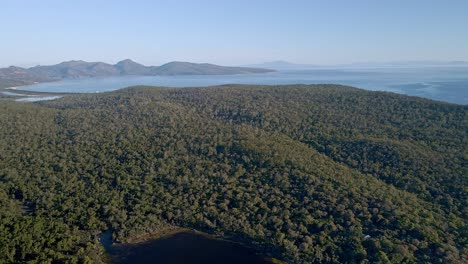 Dichter-Grüner-Wald-Im-Freycinet-Nationalpark-In-Tasmanien,-Australien