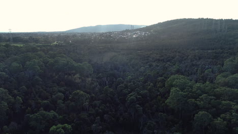 Smooth-rise-over-forest-area-showing-industrial-power-lines-and-revealing-the-built-up-surrounding-suburbs