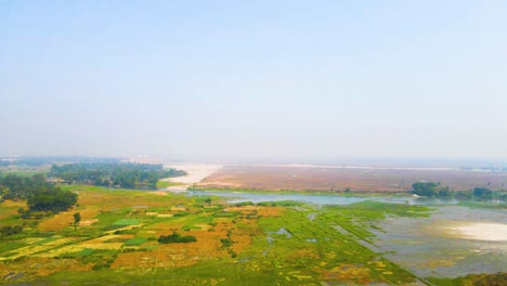 Green and vivid wetland landscape in aerial drone backward view