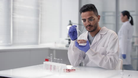 scientist examining a biological sample in a lab