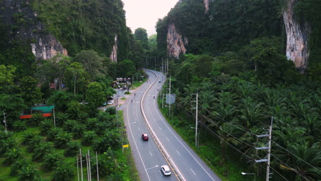 rural road in krabi thailand cuts through oil palm tree plantations and scenic limestone karst mountains, aerial dolly view