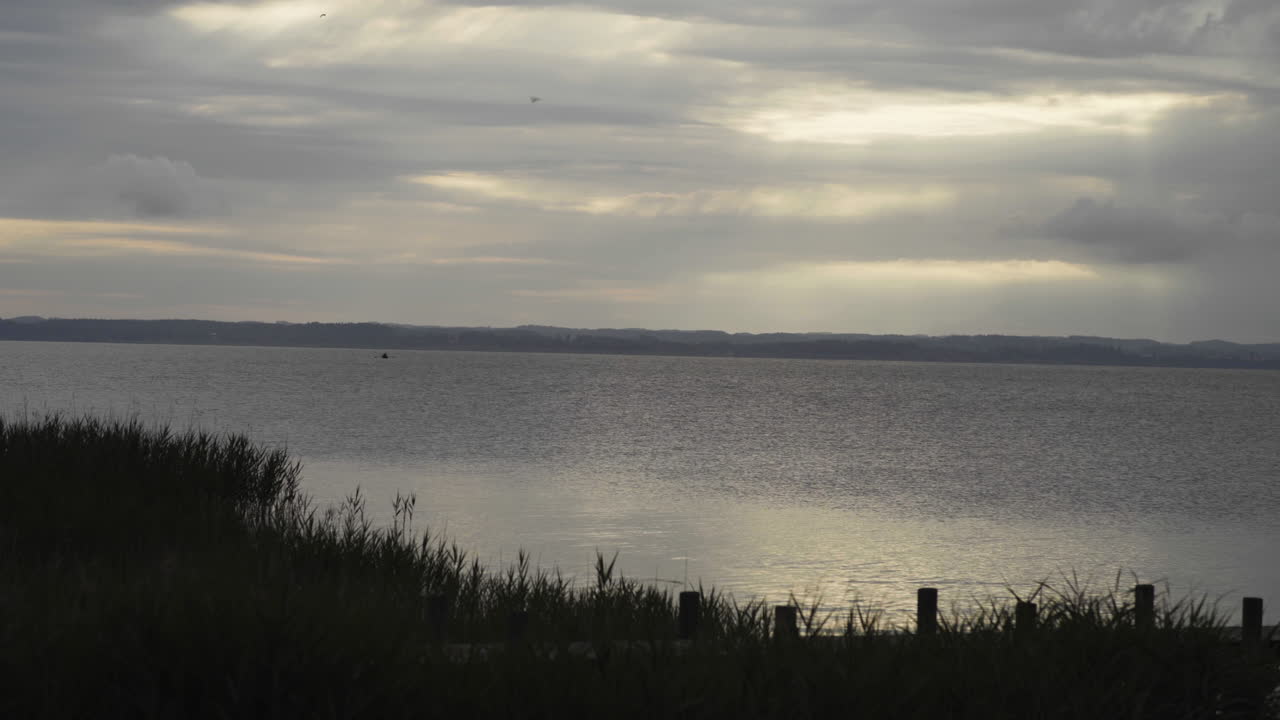 Handheld shot of the morning at lake chiemsee with acloudy sky You can see birdsflying around and a small fisher boat in the distance.some reed moving in the wind in the foreground