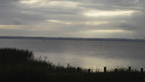 handheld shot of the morning at lake chiemsee with acloudy sky you can see birdsflying around and a small fisher boat in the distance.some reed moving in the wind in the foreground