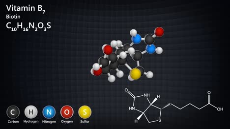 vitamin b7 (biotin). seamless loop.