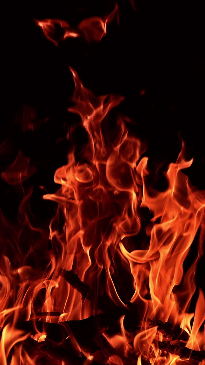 Big campfire burning in the total darkness. Tree branches burn in the fire at backdrop of darkness. Vertical video