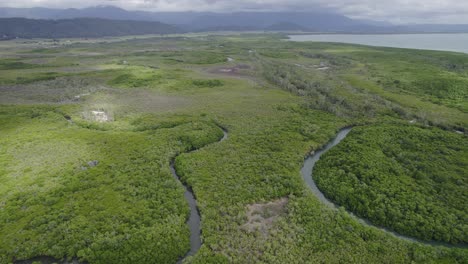 Atemberaubende-Landschaft-Mit-üppigem-Daintree-regenwald-Und-Flüssen-In-Port-Douglas,-Nord-queensland