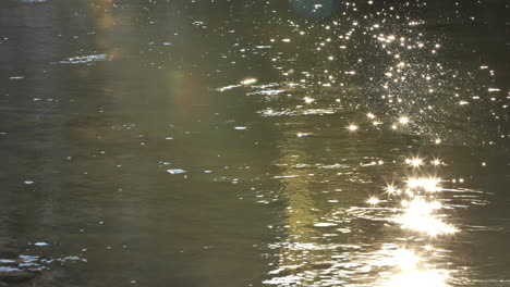 movimiento lento de la luz que refleja sobre el agua río herault francia