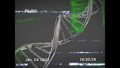 Animación-De-La-Cadena-De-ADN-Sobre-Procesamiento-De-Datos-Y-Pulmones-Digitales.