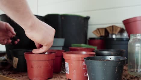 vue coupée d'une personne plantant des pousses de semis dans des pots en plastique