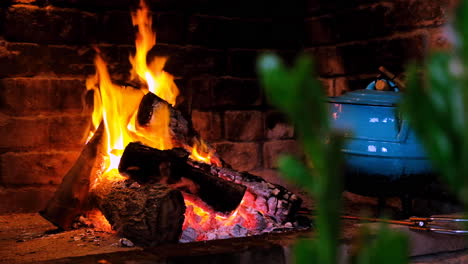 cooking food on open wood fire in fire place - traditional south african potjie