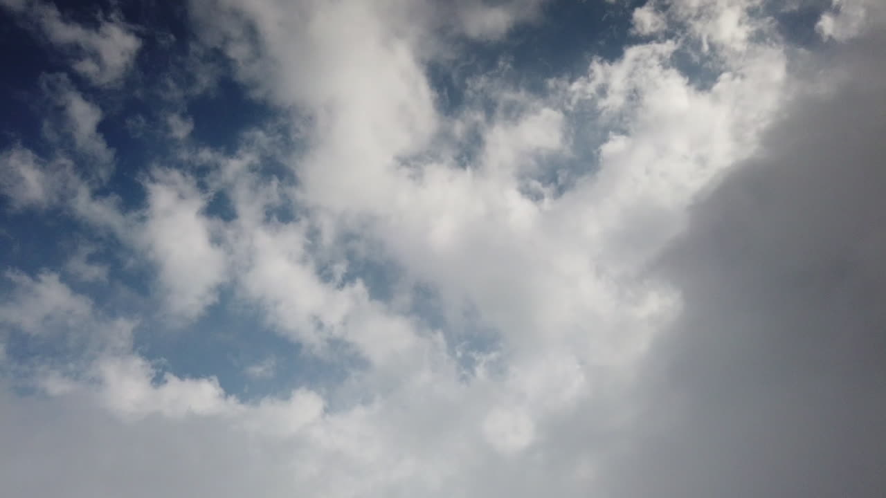 인도 타밀 나두 코다이카날의 짧고 빠르게 움직이는 미스트 진화