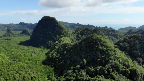 aerial panning view of a rainforest mountain landscape in langkawi, malaysia