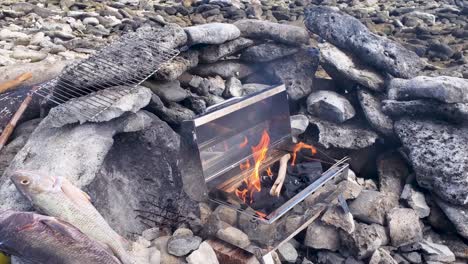 seafood preparation on bbq, grouper fishes caught ready to cook on rustic beach grill