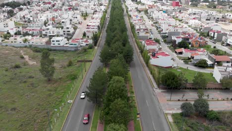 boulevard full of trees and with car traffic