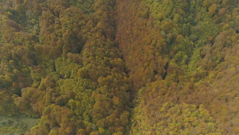 Imágenes-Aéreas,-Bosques-Salvajes-De-La-Península-De-Los-Balcanes-Durante-El-Período-De-Otoño