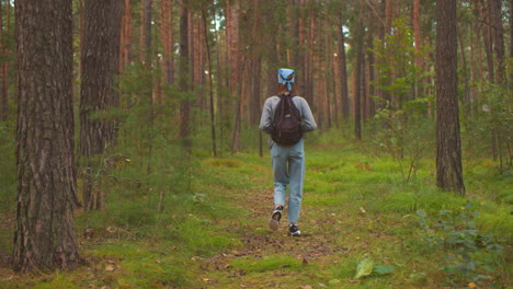 vista de atrás de la dama caminando a través de un camino de bosque sereno, con una mochila y sosteniéndola y bandana azul, rodeada de vegetación exuberante y árboles altos