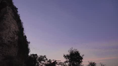 phnom sampov, cambodia landmark with thousands of bats flying from buddhist carvings at dusk, pan rotate following the swarm