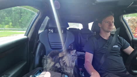 el lapso de tiempo de un conductor y un gato curioso en un viaje por la autopista a través del campo
