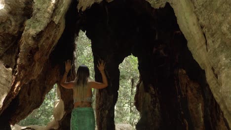 rear view of a sexy model standing at wishing tree - lamington national park in gold coast, queensland, australia. - tilt-down