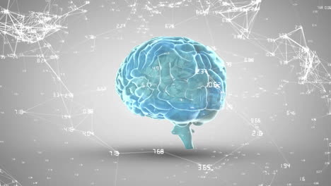 animación de la red de conexiones sobre iconos giratorios del cerebro humano contra un fondo gris