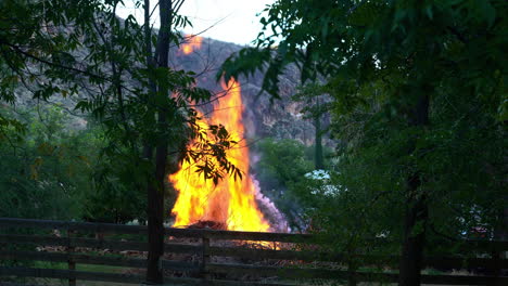 pile burning brush to mitigate forest fires