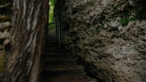 stone staircase through a narrow path between rock walls with a small metal gate in the middle of a canyon in austria with trees in the background