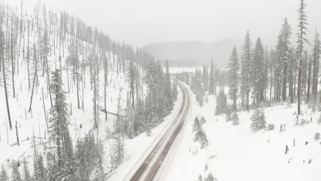 aerial shot over empty road through snowy pine forest