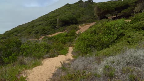 Steile-Hügel-In-Der-Region-Gruta-Da-Adraga-In-Portugal