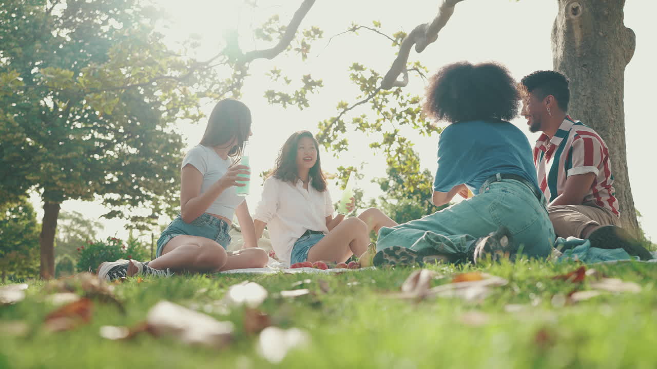 친구 들 이 공원 에서 피크닉 을 즐기고 있다