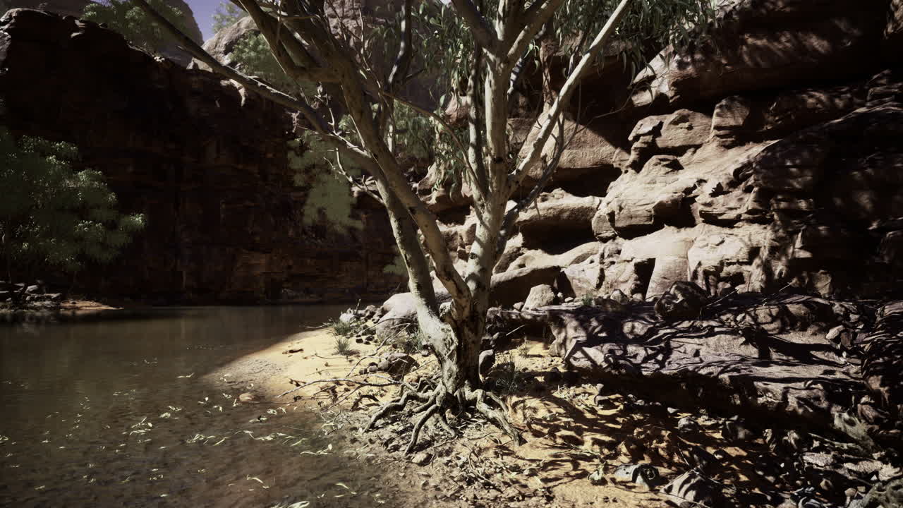 Majestic tree by the tranquil river in a rocky canyon landscape