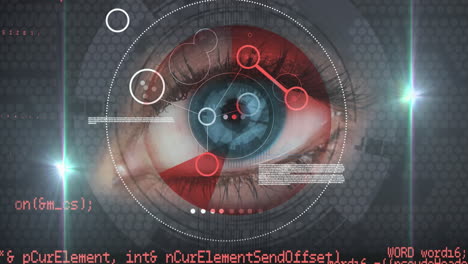 Animation of digital icons with network of connections over eye and scope scanning