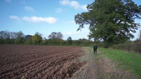 Woman-on-daytime-stroll-through-farm-land-and-fields