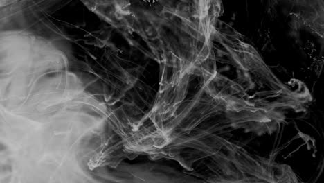 ink smoke transition - transition animation resembling ink or smoke. black and white abstraction in the form of smoke