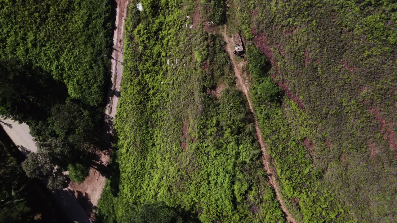 drone sube rápido, cámara cenital que muestra caminos de tierra en medio de una selva tropical atlántica