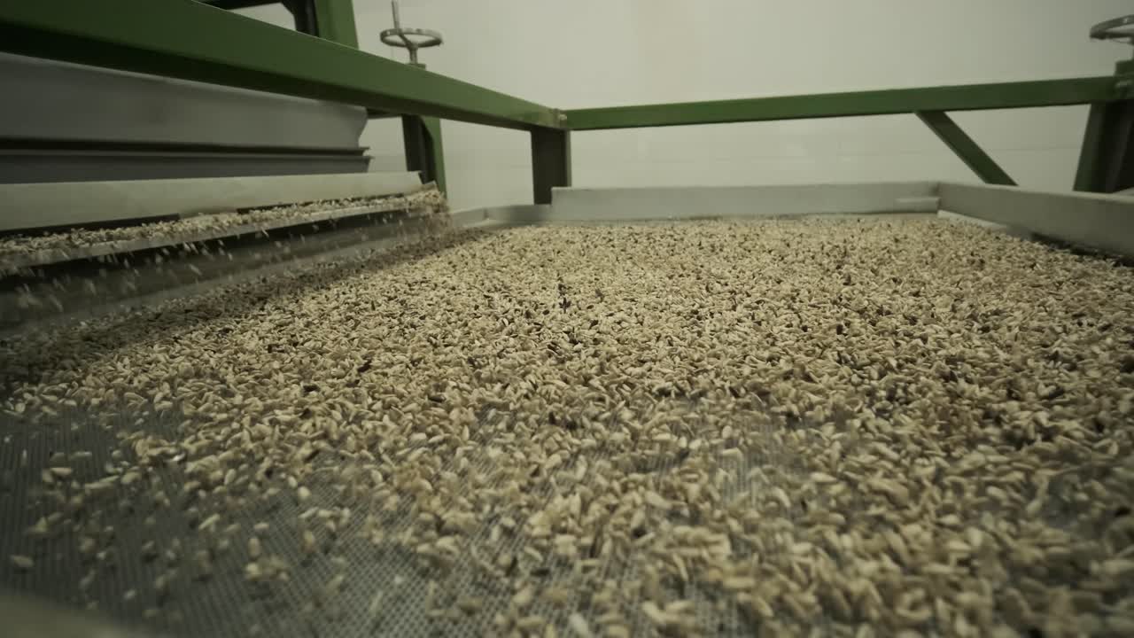 많은 씨, 태양광 씨, 베이킹 기계, 움직이는 긴 태양광씨, 기계에서 나온 음식 생산.