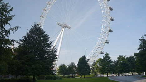 london eye in a park