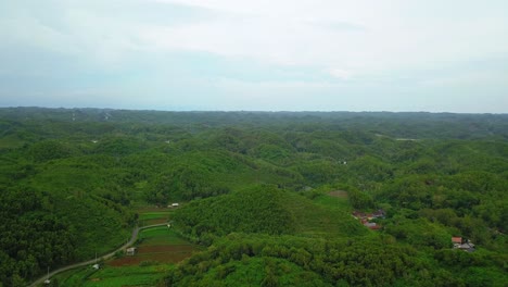 Aerial-view-of-hilly-plains-overgrown-with-dense-trees-of-forest-with-cloudy-sky