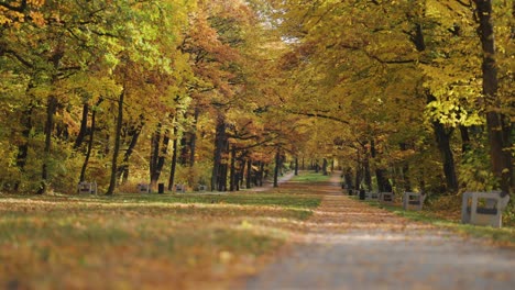 Beautiful-autumn-alley-in-the-park