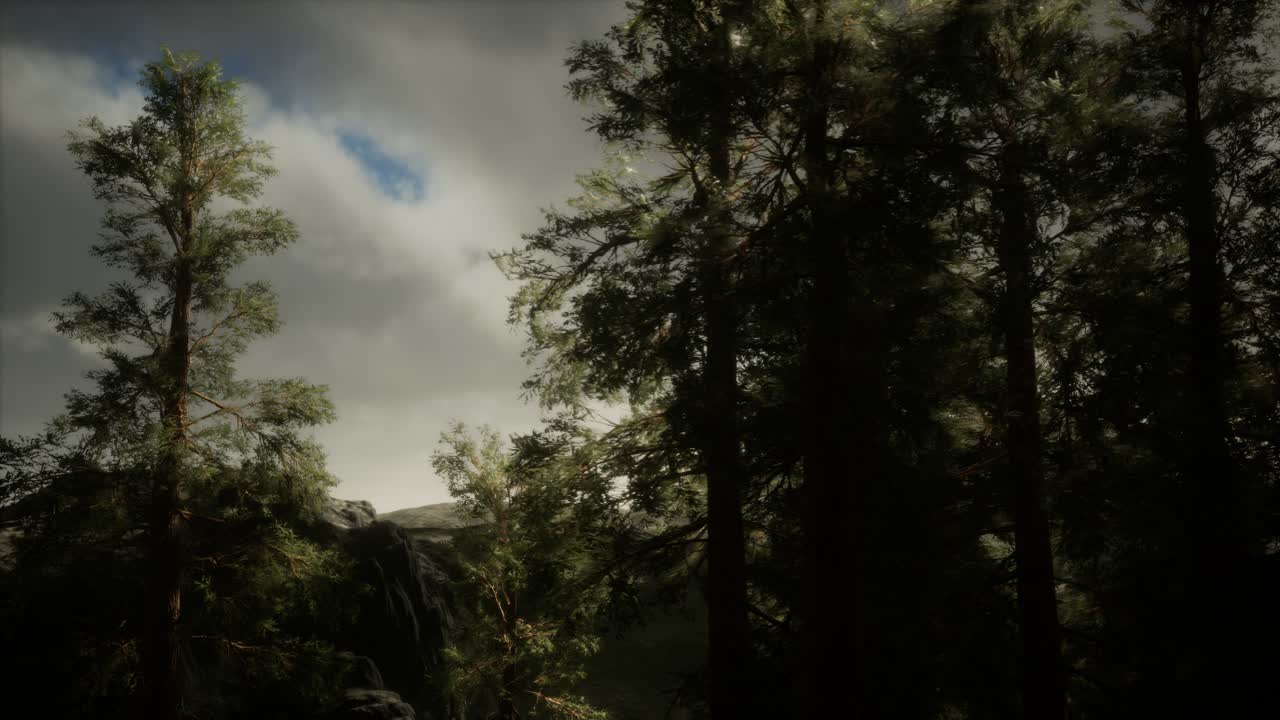 거친 산기 ?? 에 있는 안개와 소나무, 그리고 다가오는 폭풍