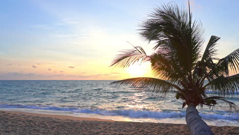 Una-Palmera-De-Tronco-Horizontal-Se-Extiende-Sobre-La-Playa-Hacia-Un-Colorido-Sol-Poniente