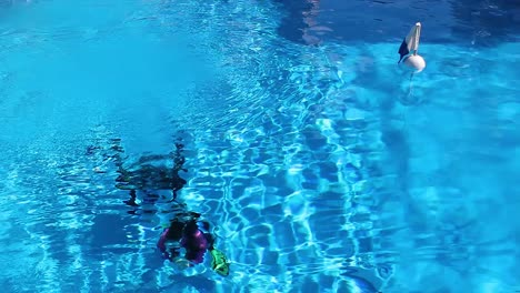 scuba divers in a pool with a dive flag floating on top