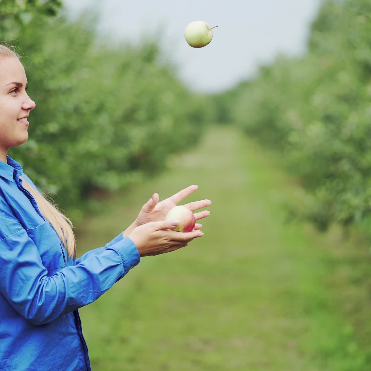 Fresh apples in a woman's hands. Nature background. Close up.
