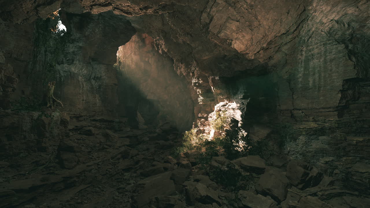 Light filtering through the rocky ceiling of a cave filled with vegetation
